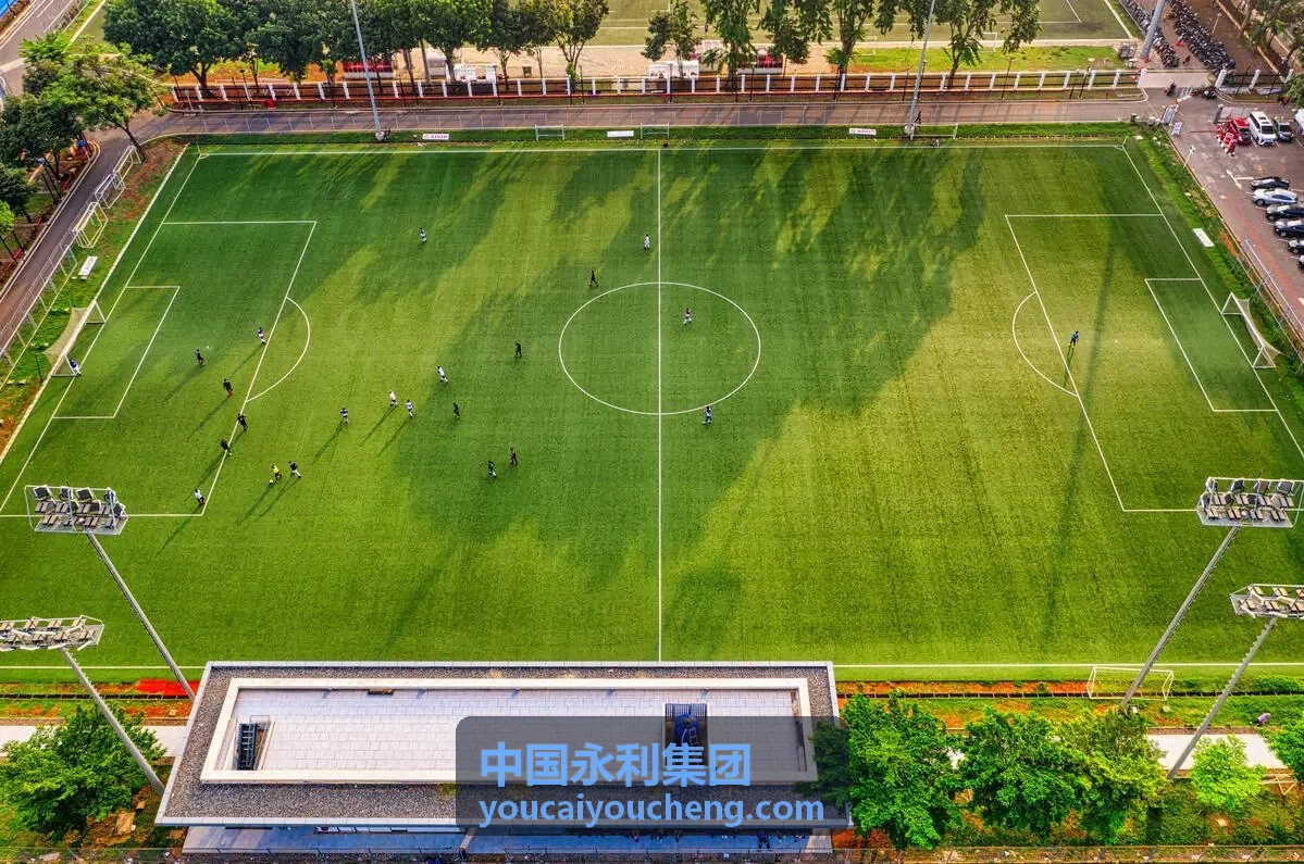 中国永利集团新能源投资案例